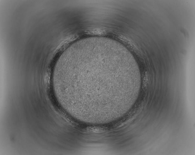 X0000113180739200910021542