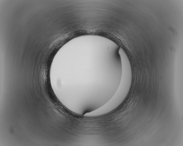 X0000113180740200910021542
