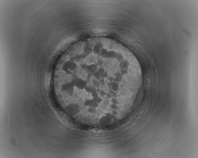 X0000113180742200910021542