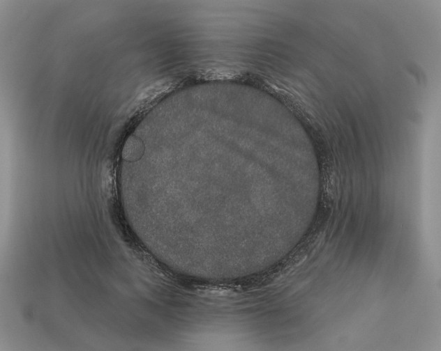X0000113180743200910021542