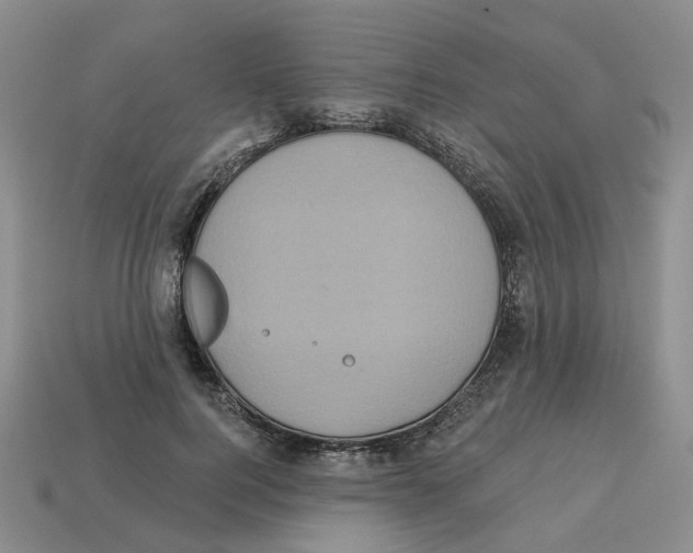X0000113180744200910021543