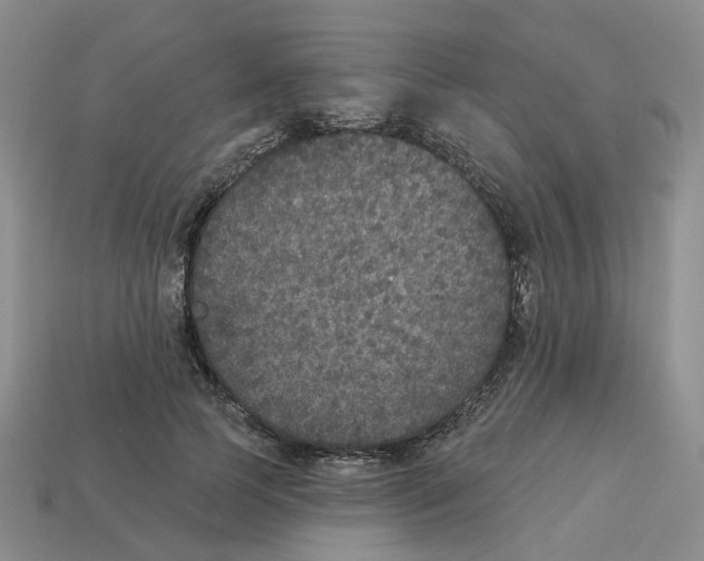 X0000113180745200910021543