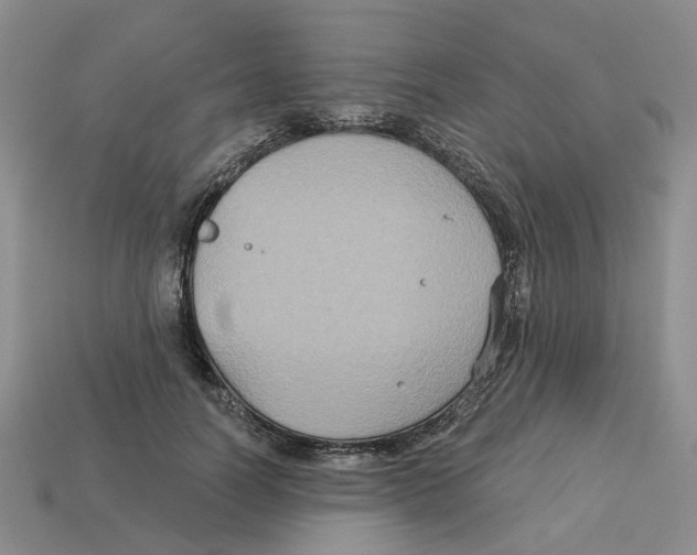 X0000113180746200910021543