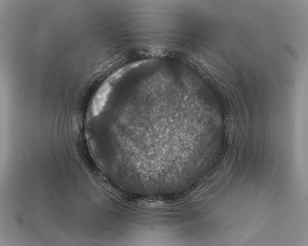 X0000113180747200910021543