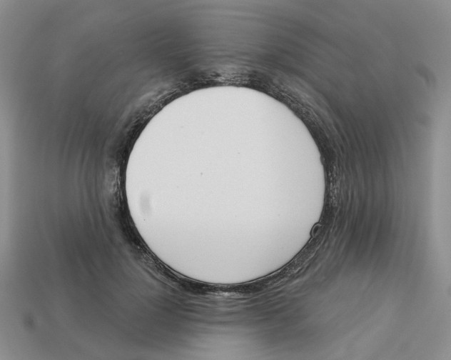 X0000113180748200910021543