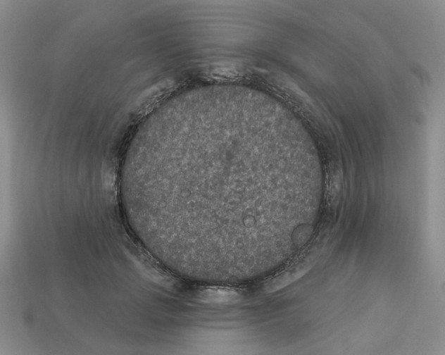 X0000113180749200910021543