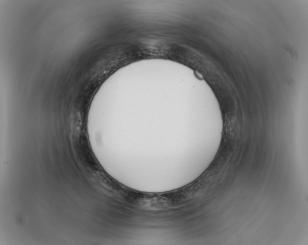 X0000113180752200910021543