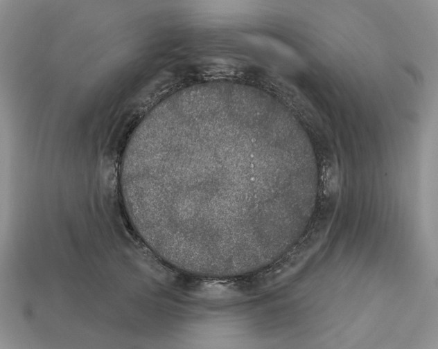 X0000113180753200910021543