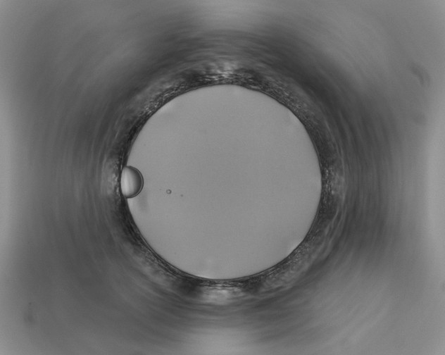 X0000113180754200910021543