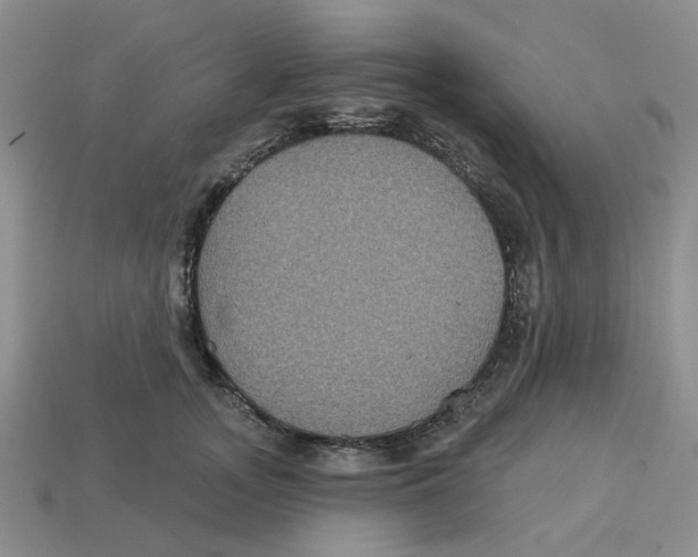 X0000113180755200910021543