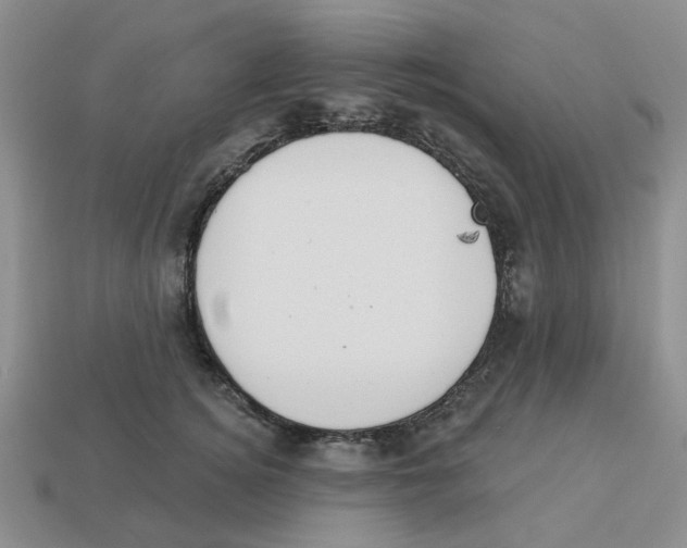 X0000113180756200910021543