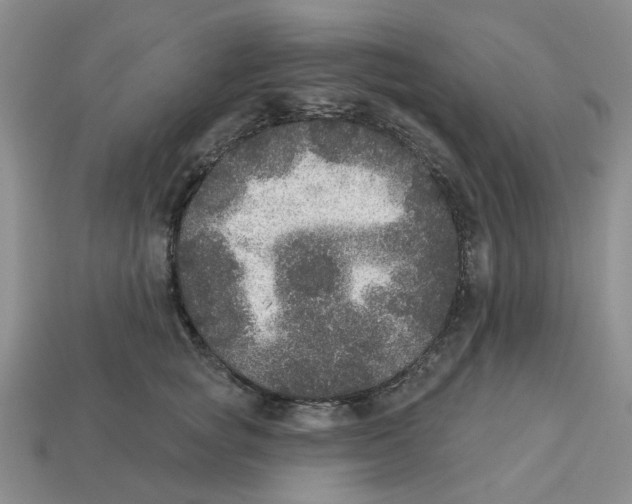 X0000113180757200910021543