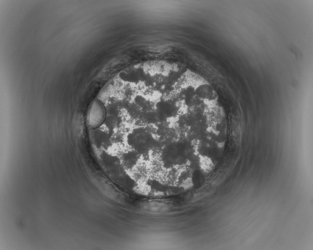 X0000113180758200910021543