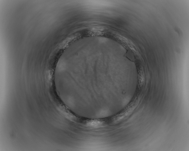 X0000113180759200910021543