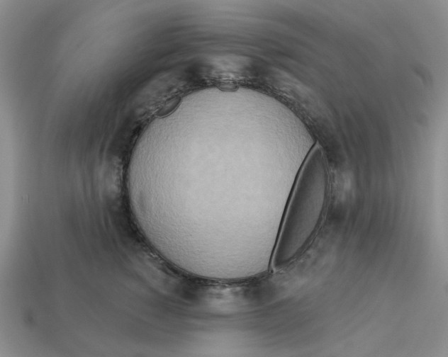 X0000113180760200910021543