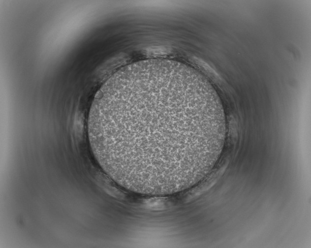X0000113180761200910021543