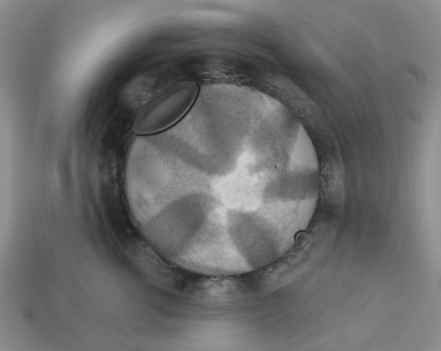 X0000113180762200910021543