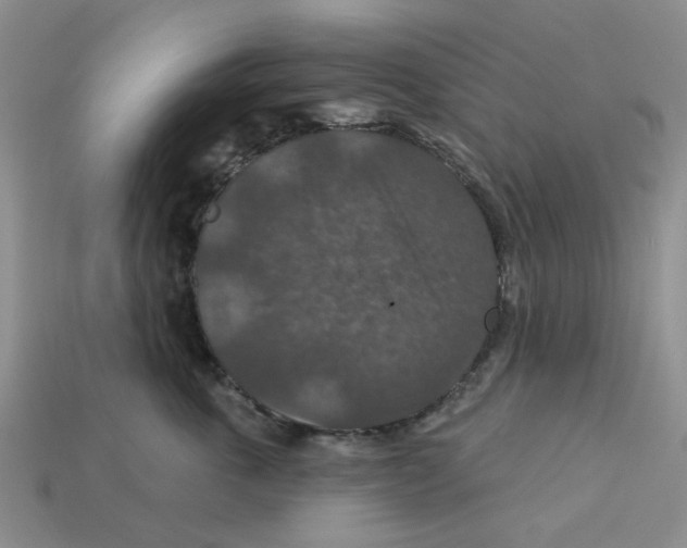 X0000113180763200910021543