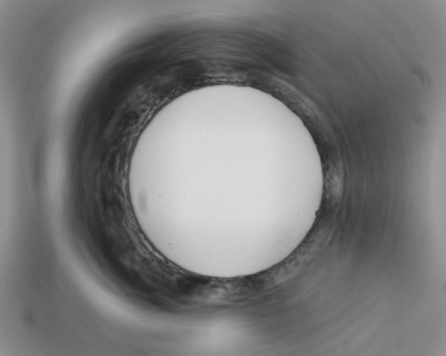 X0000113180764200910021543
