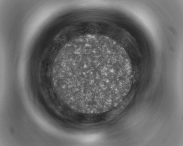X0000113180765200910021543