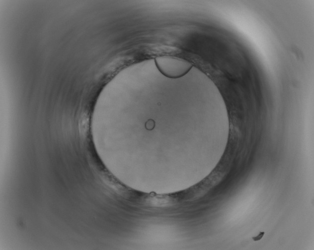 X0000113180767200910021543