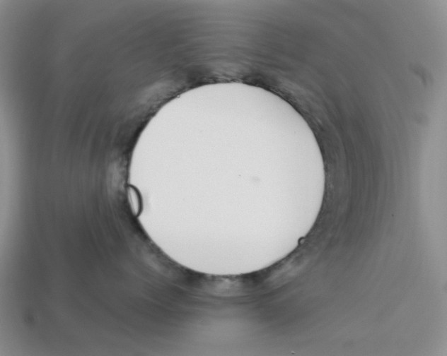 X0000113180768200910021543
