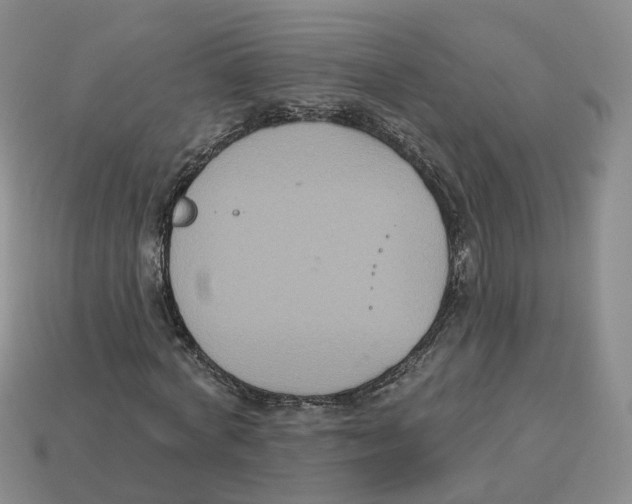 X0000113180772200910021542