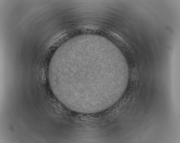X0000113180774200910021542