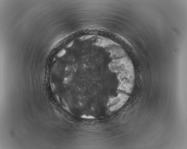 X0000113180775200910021542