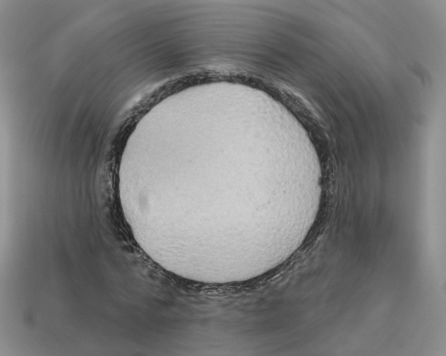 X0000113180776200910021542