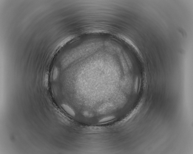 X0000113180777200910021542