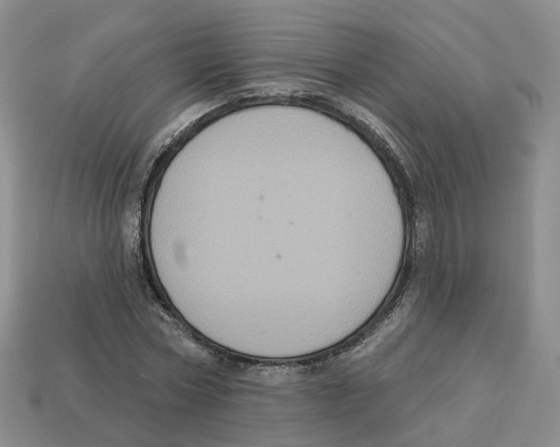 X0000113180778200910021542
