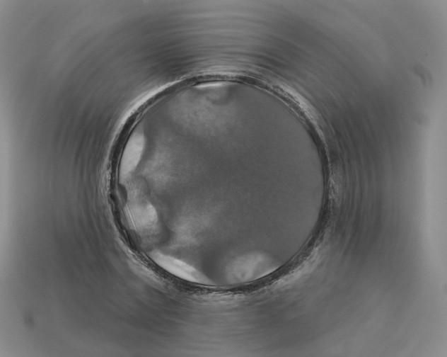 X0000113180779200910021542