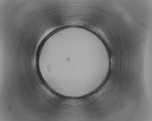 X0000113180780200910021542