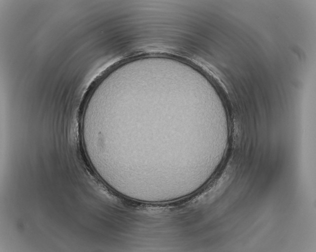 X0000113180782200910021542