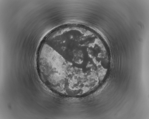 X0000113180783200910021542