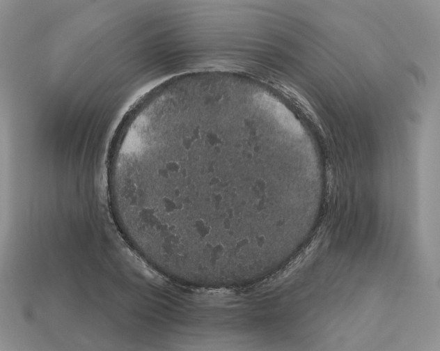 X0000113180784200910021542