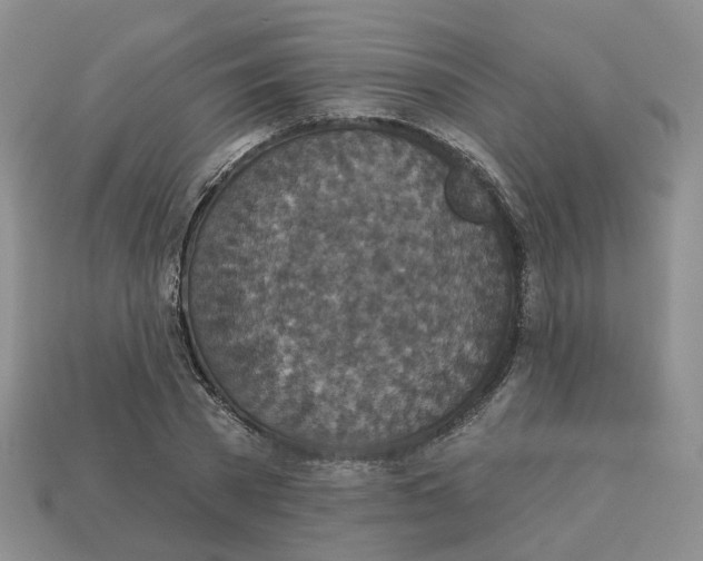 X0000113180785200910021542