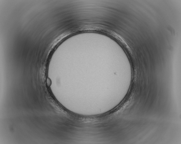 X0000113180786200910021542