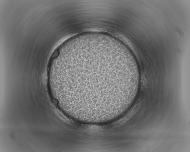 X0000113180787200910021542