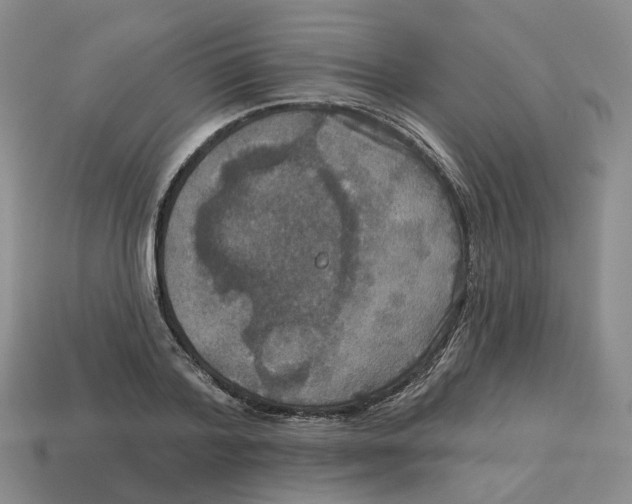 X0000113180788200910021542