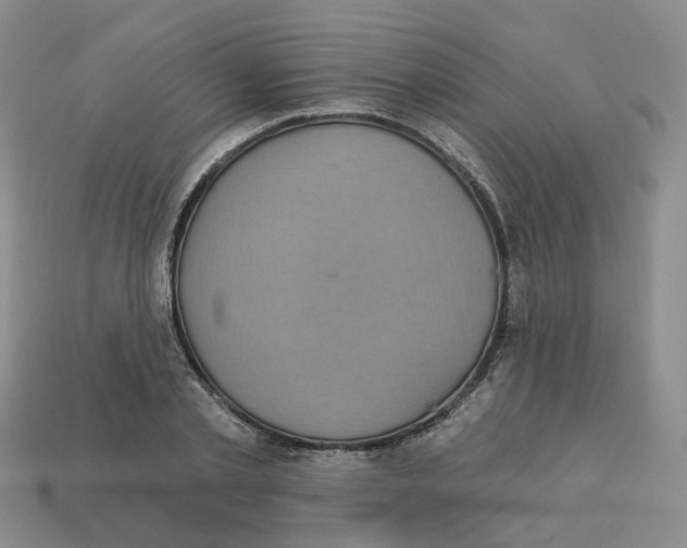 X0000113180789200910021542