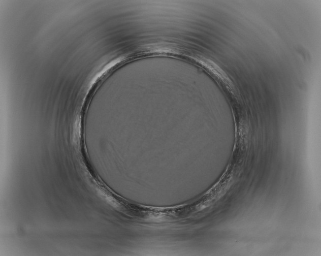 X0000113180790200910021542