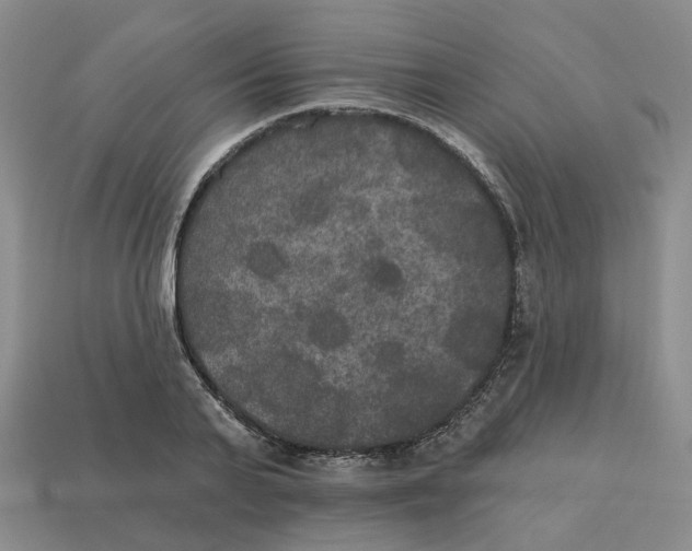 X0000113180791200910021542