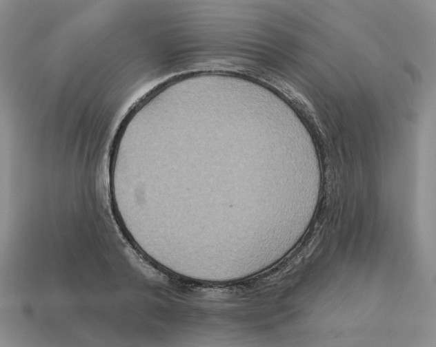 X0000113180792200910021542