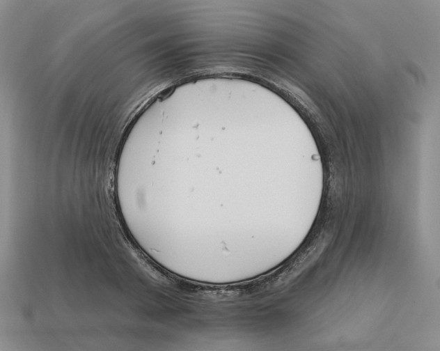 X0000113180793200910021542