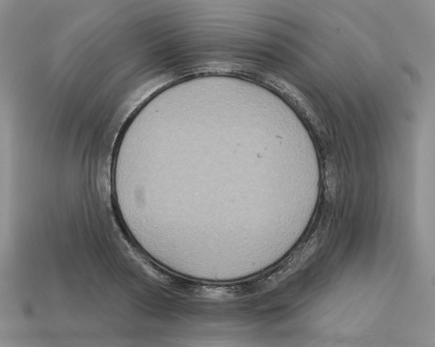 X0000113180794200910021542