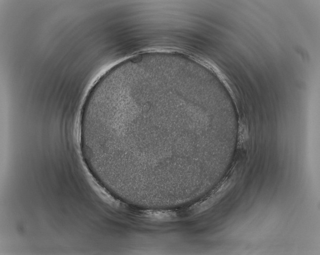 X0000113180795200910021542