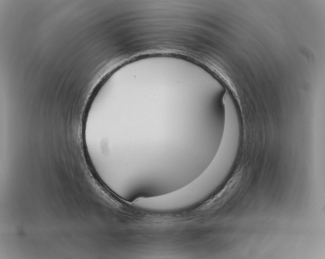 X0000113180797200910021542