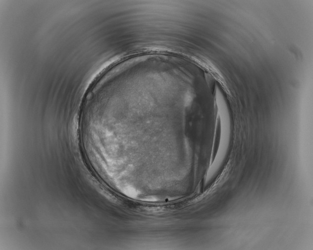 X0000113180798200910021542